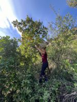 Klik za večjo sliko